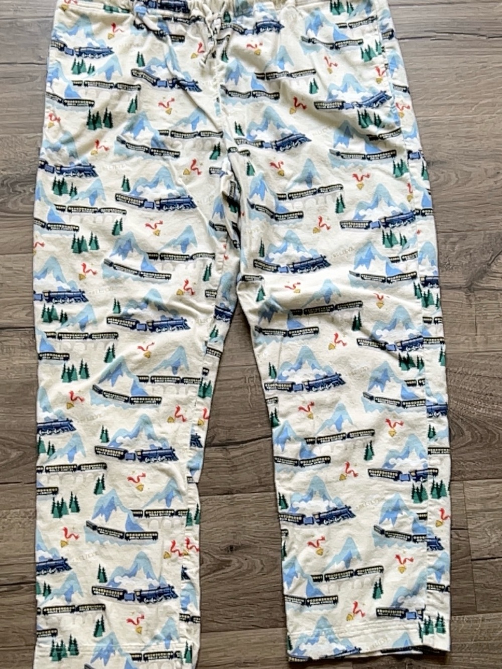 Hanna Andersson Flannel White Polar Express Print Pajama Pants